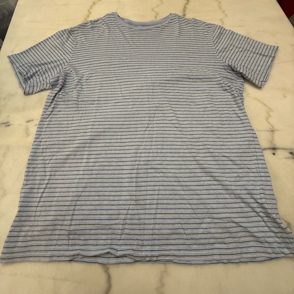 Roundtree & Yorke Light Blue Striped Tee - Picture 1 of 3
